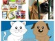 Sanremo: sabato da Fortesan raccolta cibo straordinaria per i cani ed i gatti dell'Enpa Sanremo: sabato da Fortesan raccolta cibo straordinaria per i cani ed i gatti dell'Enpa