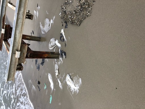 Diano Marina, un nostro lettore: "Bene il parco subacqueo, ma occorre diminuire la presenza della plastica" (foto)