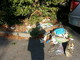 Sanremo: rifiuti nel parcheggio dell'ospedale Borea, la segnalazione con foto di una lettrice