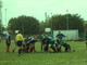 Al via la ripresa dell'attività sportiva del Delta Rugby