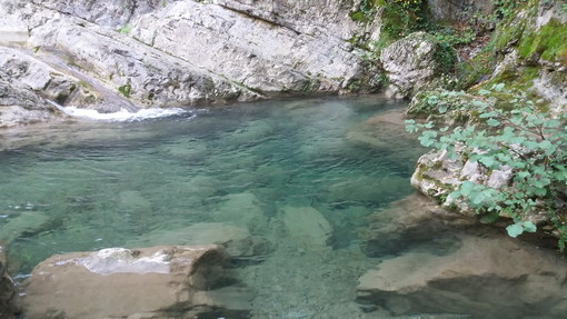 Pigna: il 31 marzo una visita guidata ai laghetti ed alla cappella di San Bernardo con gli 'Amici del Rio Carne' Pigna: il 31 marzo una visita guidata ai laghetti ed alla cappella di San Bernardo con gli 'Amici del Rio Carne'