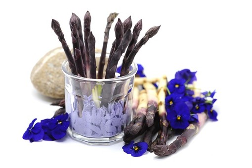 Castelbianco (SV) una sosta da Gin per “mangiare i fiori”