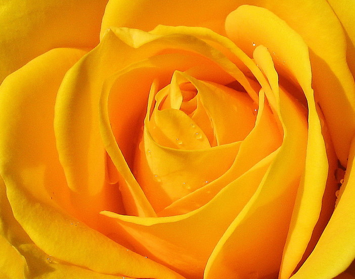 Imperia: domani flash mob dei Magistrati Onorari davanti al Tribunale, "Traditi dalle istituzioni" Imperia: domani flash mob dei Magistrati Onorari davanti al Tribunale, "Traditi dalle istituzioni"