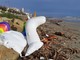 Santo Stefano al mare: l'amministrazione promuove due &quot;giornate ecologiche&quot; per la raccolta di detriti sulle spiagge