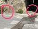 Sanremo: scavo pericoloso ai Tre Ponti, la segnalazione con foto di un cittadino