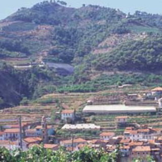 Soldano: Antonio Fimmanò tuona dopo il Decreto "Il Comune ha 1009 abitanti!"