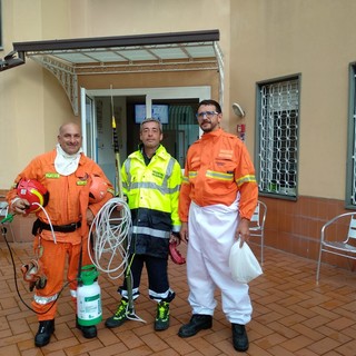 Vallecrosia: è operativa la nuova squadra della protezione civile specializzata contro le vespe velutine Vallecrosia: è operativa la nuova squadra della protezione civile specializzata contro le vespe velutine
