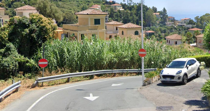 Il tratto di strada Noci Il tratto di strada Noci