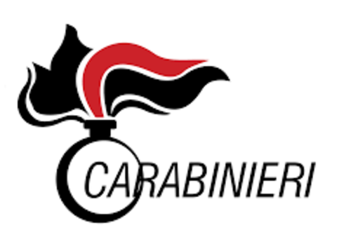 Pubblicato il bando di concorso per l’Accademia militare di Modena: come diventare ufficiale dei Carabinieri