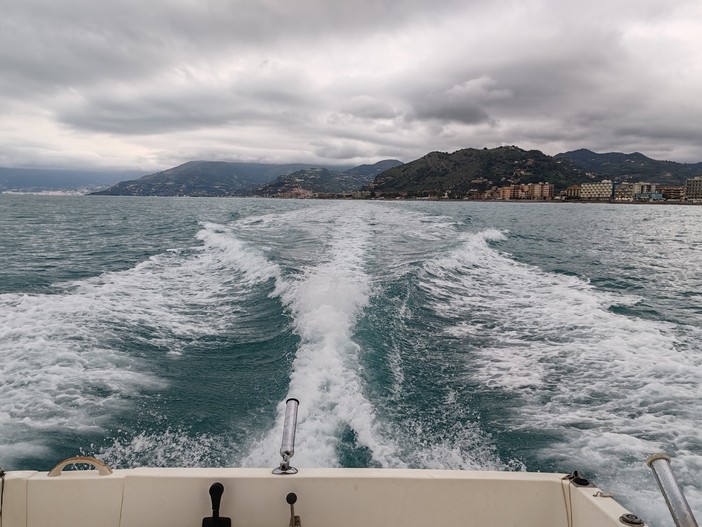 Motonautica elettrica a Monaco: ambientalisti e ricercatori chiedono lo stop alla E1 Series nel Santuario Pelagos Motonautica elettrica a Monaco: ambientalisti e ricercatori chiedono lo stop alla E1 Series nel Santuario Pelagos
