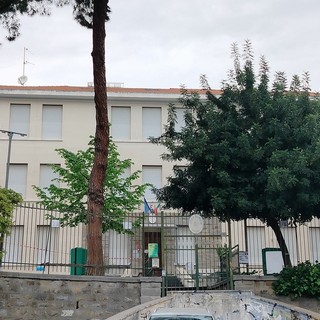 Sanremo, albero a rischio nella primaria Asquasciati: richiesta verifica urgente dal consigliere Ventimiglia