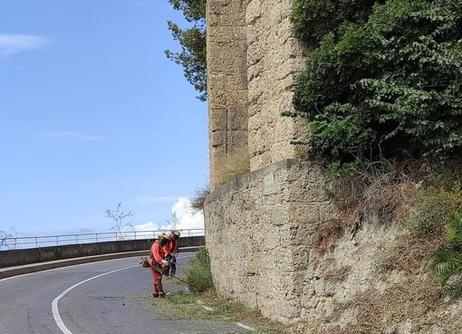 "Sfalci d'erba raccolti dopo giorni, l'operato della ditta è superficiale": la lamentela di un ventimigliese
