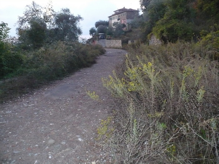 Sanremo: problemi di viabilità a Verezzo, lettrice chiede l'interessamento di Bellini Sanremo: problemi di viabilità a Verezzo, lettrice chiede l'interessamento di Bellini