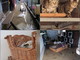 Alluvione Ventimiglia: i ringraziamenti della LNDC ai cittadini che si sono adoperati per gli animali, al via raccolta fondi Alluvione Ventimiglia: i ringraziamenti della LNDC ai cittadini che si sono adoperati per gli animali, al via raccolta fondi
