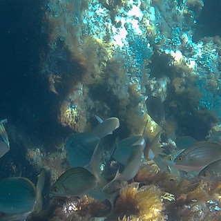 Santo Stefano al Mare: settimana prossima, al via la rassegna 'Un mare di eventi'