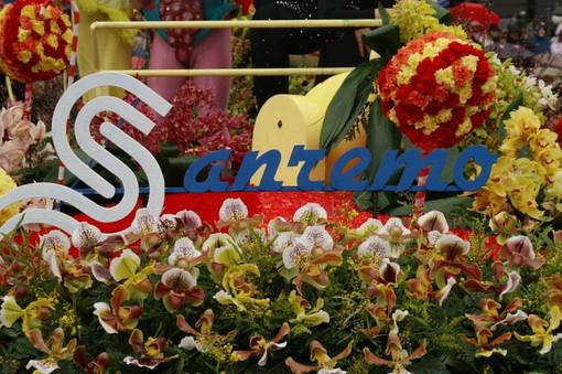 Bordighera: bando del Comune per la partecipazione alla manifestazione 'Sanremoinfiore 2012' Bordighera: bando del Comune per la partecipazione alla manifestazione 'Sanremoinfiore 2012'