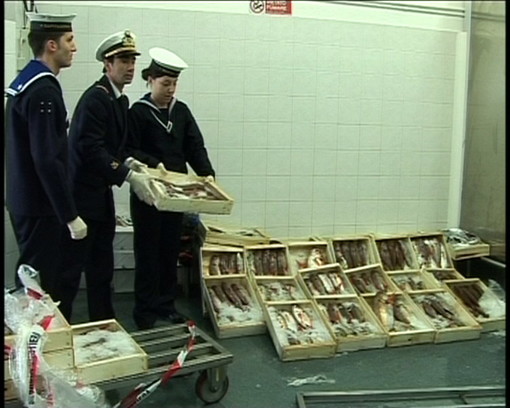 Imperia: serie di controlli della Guardia Costiera sui prodotti ittici anche sulla A10