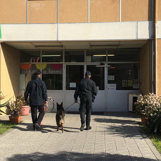 ‘Scuole sicure’: blitz dei Carabinieri di Ventimiglia e del nucleo cinofili di Villanova d’Albenga ‘Scuole sicure’: blitz dei Carabinieri di Ventimiglia e del nucleo cinofili di Villanova d’Albenga