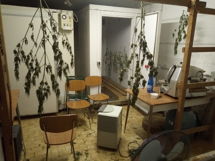 Imperia: polizia arresta 27enne italiano, in casa aveva 10 kg di marijuana e il materiale per il confezionamento Imperia: polizia arresta 27enne italiano, in casa aveva 10 kg di marijuana e il materiale per il confezionamento