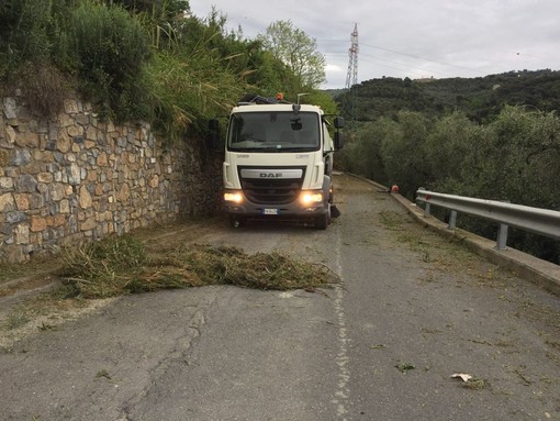 San Bartolomeo al Mare, prosegue lo sfalcio e la pulizia di strade e cunette (foto)