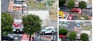 Ventimiglia, siepe a rischio crollo in corso Genova: traffico deviato (Foto)