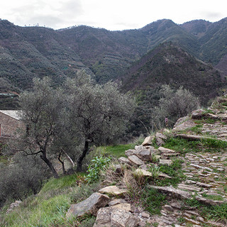Badalucco: dopo un anno è rinato il sentiero che da San Nicolò porta alla Madonna della Neve, L'INAUGURAZIONE
