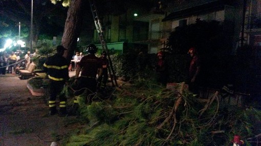 San Bartolomeo al Mare: il Sindaco Valerio Urso si è recato all'ospedale di Imperia in visita al turista colpito dalla caduta di un ramo
