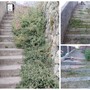 Ventimiglia, sfalcio e pulizia dei camminamenti: al via gli interventi (Foto) Ventimiglia, sfalcio e pulizia dei camminamenti: al via gli interventi (Foto)