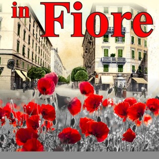 Il centro storico di Savona si anima con i colori e i profumi di "Savona in fiore", mostra di florovivaismo e non solo Il centro storico di Savona si anima con i colori e i profumi di "Savona in fiore", mostra di florovivaismo e non solo
