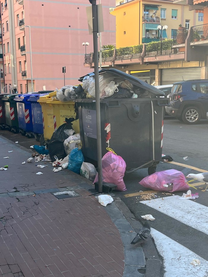 Ventimiglia, "bidoni strapieni e rifiuti abbandonati attirano piccioni e gabbiani": la segnalazione Ventimiglia, "bidoni strapieni e rifiuti abbandonati attirano piccioni e gabbiani": la segnalazione