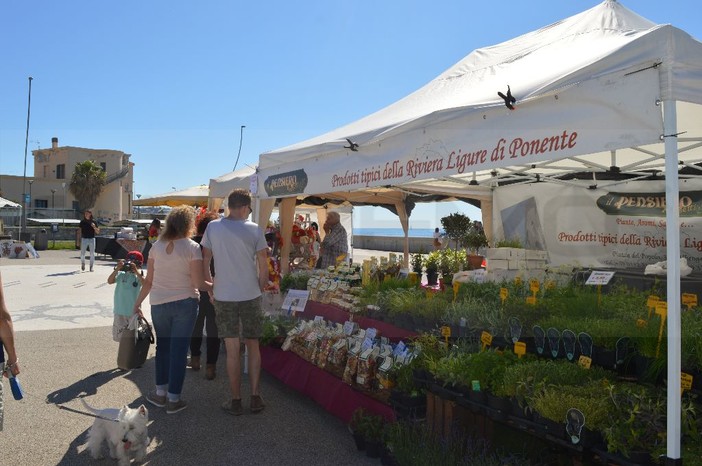 Sanremo Fioreggiando: a Pian di Nave la prima mostra - mercato di artigianato floreale, 40 gli espositori del territorio Sanremo Fioreggiando: a Pian di Nave la prima mostra - mercato di artigianato floreale, 40 gli espositori del territorio