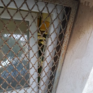 Imperia: inagibilità del seminterrato della Sauro, Criscuolo: "Sconfitta per la scuola, disagio per noi genitori" Imperia: inagibilità del seminterrato della Sauro, Criscuolo: "Sconfitta per la scuola, disagio per noi genitori"