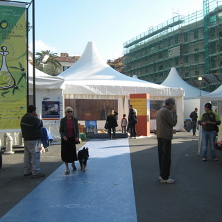 Olioliva 2010: Confcommercio e fioristi propongono un concorso di allestimento delle vetrine