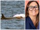 Santuario Pelagos, Bordighera Domani: "Nuove iniziative di salvaguardia dei cetacei" Santuario Pelagos, Bordighera Domani: "Nuove iniziative di salvaguardia dei cetacei"