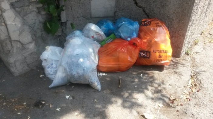 Imperia: sacchetti dell'Autostrada dei Fiori gettati tra la spazzatura su Capo Berta Imperia: sacchetti dell'Autostrada dei Fiori gettati tra la spazzatura su Capo Berta