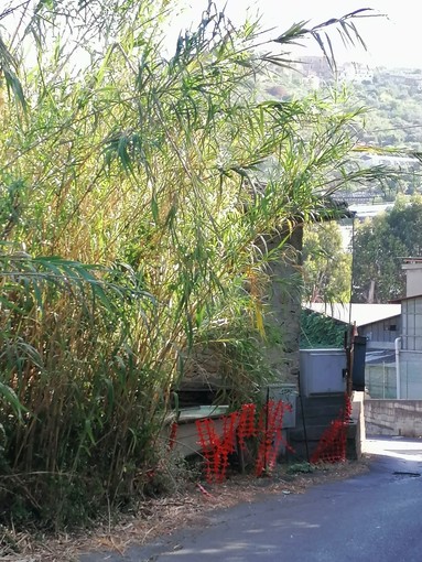 Sanremo, la denuncia del Sinappe: &quot;La strada che porta al carcere di valle Armea è a forte rischio&quot; (foto)