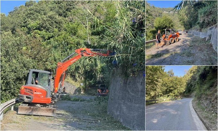 Camporosso, volontari puliscono tratto della strada degli Olandesi (Foto) Camporosso, volontari puliscono tratto della strada degli Olandesi (Foto)