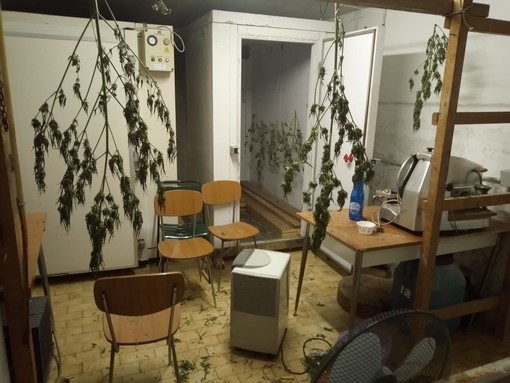 Imperia: polizia arresta 27enne italiano, in casa aveva 10 kg di marijuana e il materiale per il confezionamento Imperia: polizia arresta 27enne italiano, in casa aveva 10 kg di marijuana e il materiale per il confezionamento