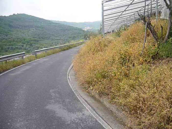 Provincia: Giordano (PD) interviene su strade dell'entoterra Provincia: Giordano (PD) interviene su strade dell'entoterra
