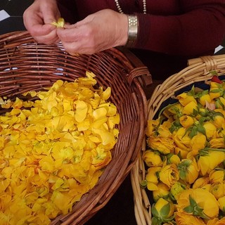 Pasqua in San Giovanni a Oneglia, il calendario della Settimana Santa