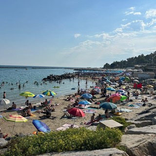 Sanremo si prepara al Ferragosto, pareri divisi tra residenti e turisti: “È più pulita”, “Le buche sono aumentate” (Video) Sanremo si prepara al Ferragosto, pareri divisi tra residenti e turisti: “È più pulita”, “Le buche sono aumentate” (Video)