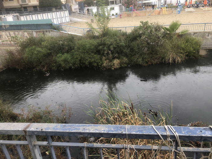 Sanremo: il torrente San Francesco invaso dalla sporcizia, la segnalazione con foto di un cittadino