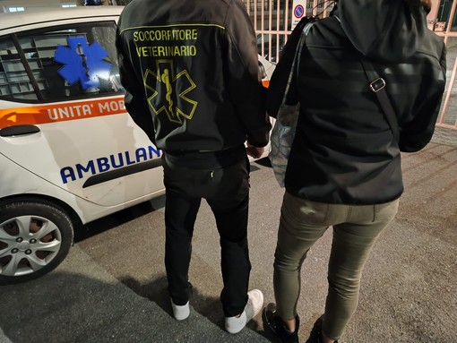 Ventimiglia, il servizio di accompagnamento gratuito di Ambulanze Veterinarie funziona: 15 chiamate in due giorni Ventimiglia, il servizio di accompagnamento gratuito di Ambulanze Veterinarie funziona: 15 chiamate in due giorni