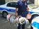Diano Marina: blitz della polizia municipale, sequestrati oltre 50 cappelli e centinaia di accessori di abbigliamento