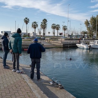 Porto chiuso ad Arma di Taggia: consegnati i rilievi del sub, si va verso la deroga per i pescatori professionisti