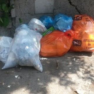 Imperia: sacchetti dell'Autostrada dei Fiori gettati tra la spazzatura su Capo Berta