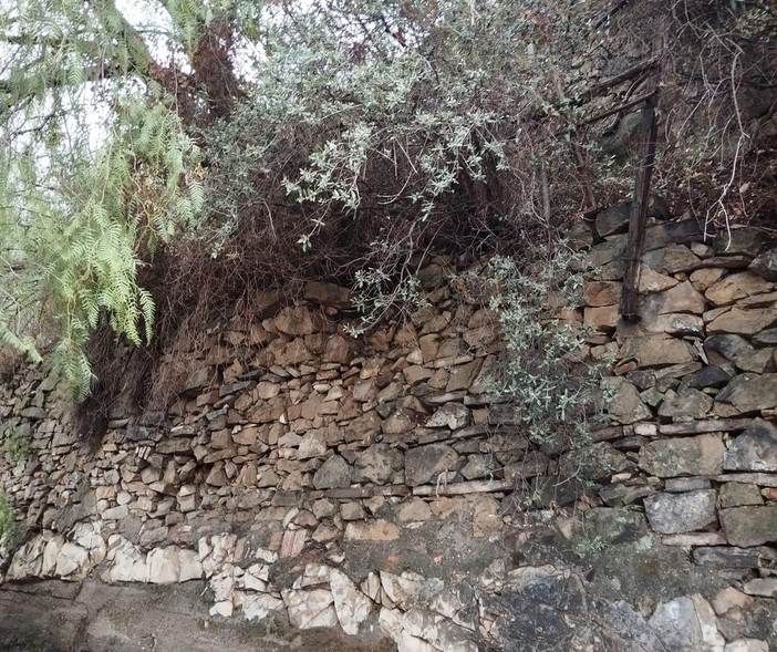 Vallebona, muro pericoloso: chiusa strada San Sebastiano (Foto)