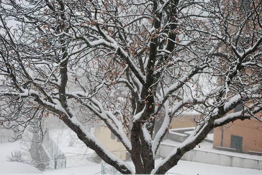 Maltempo e 'allerta neve': prime piogge nella nostra provincia, temperature in aumento rispetto a ieri