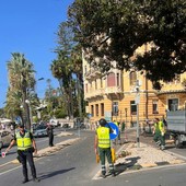 Sanremo: sfoltitura straordinaria del ficus di Via Nuvoloni, giardinieri e Polizia al lavoro (Foto) Sanremo: sfoltitura straordinaria del ficus di Via Nuvoloni, giardinieri e Polizia al lavoro (Foto)