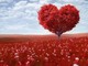 San Valentino 2022 - Festa degli Innamorati